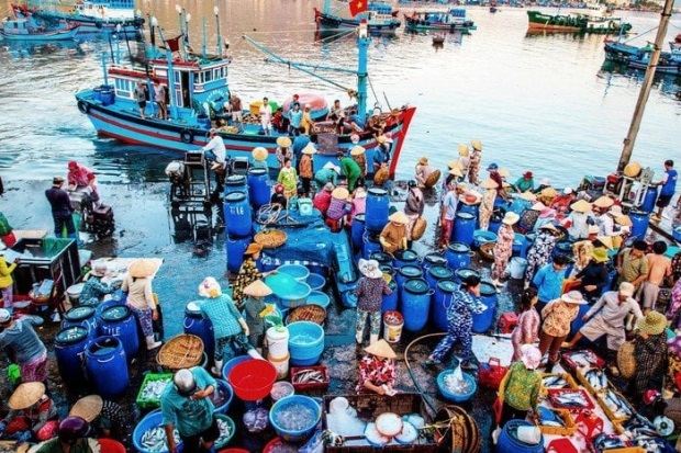 du lịch Nha Trang tháng 1 - chợ hải sản